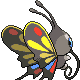 pokemon back