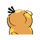 pokemon back