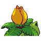 pokemon shiny back
