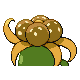 pokemon shiny back