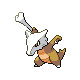 pokemon front