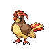 pokemon front