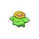 pokemon front