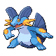 pokemon front