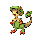 pokemon front