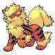 pokemon front